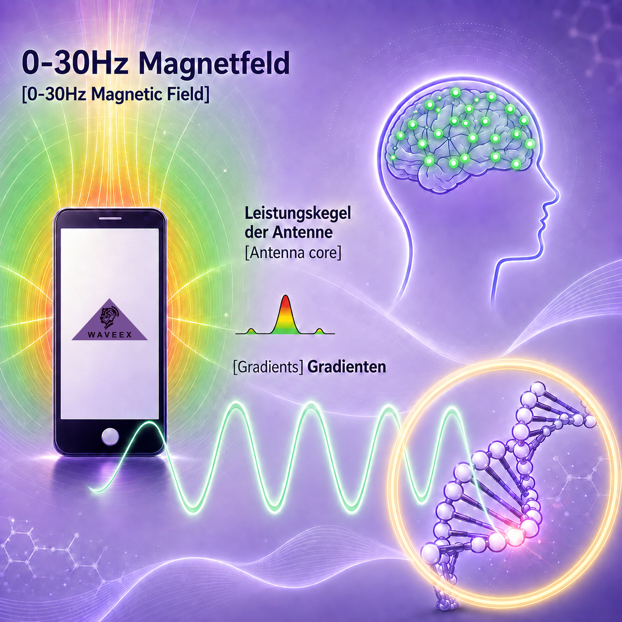 Darstellung eines geglätteten Magnetfeldes mit WAVEEX